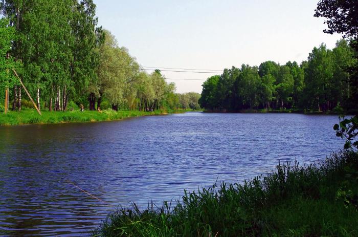 рыбалка в петергофе места рыбалка в петергофе места