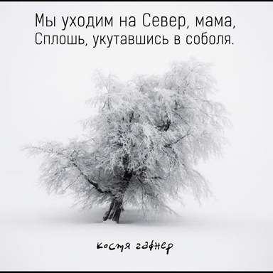 Поздравления с отъездом с севера 99