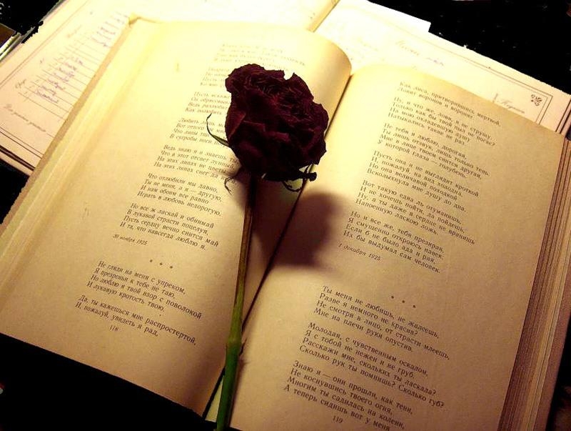 Проза о книгах и поэзии Проза о книгах и поэзии