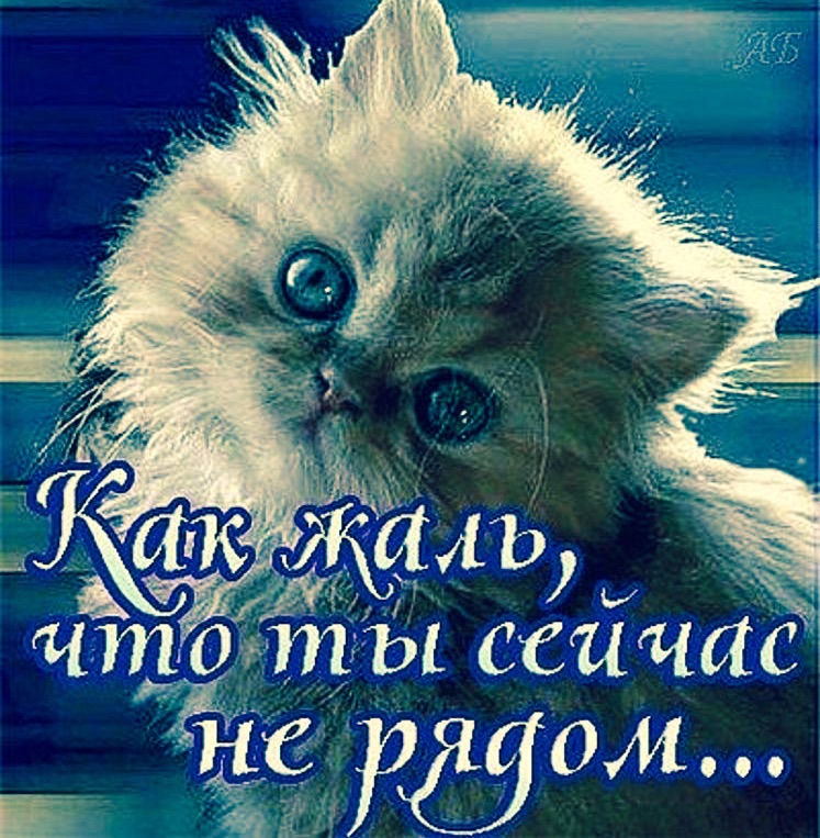 Виртуальные открытки я скучаю по тебе 89
