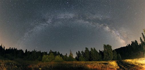 От свежескошенной травы
