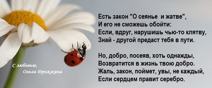 Стих жатва дети Стих жатва дети