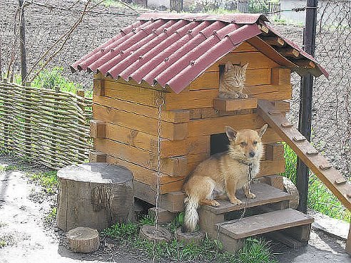 Собака на даче своими руками Собака на даче своими руками
