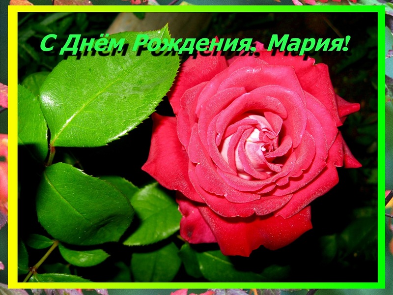Поздравит марию с юбилеем Поздравит марию с юбилеем