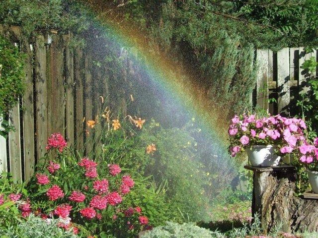 Скачать песню андрея шпехт букет цветов