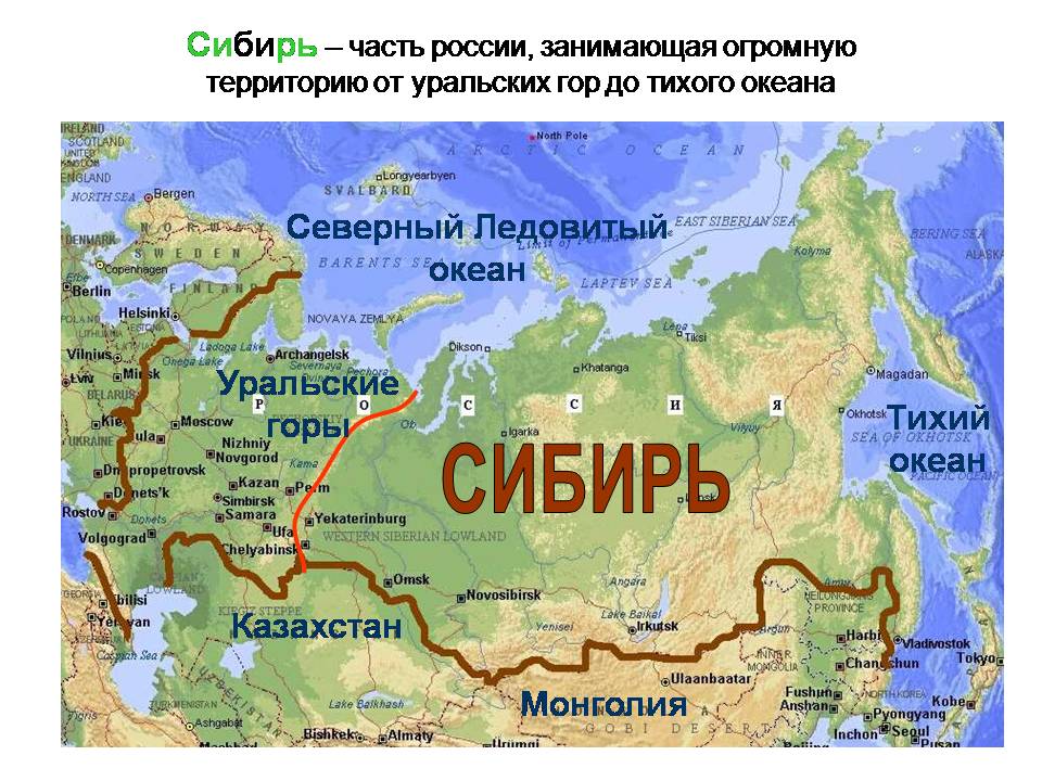 По веленью Творца - филантропа