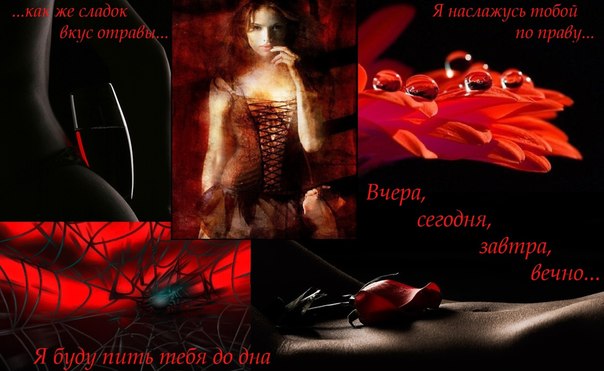 Стих за тебя я пью до дна Стих за тебя я пью до дна