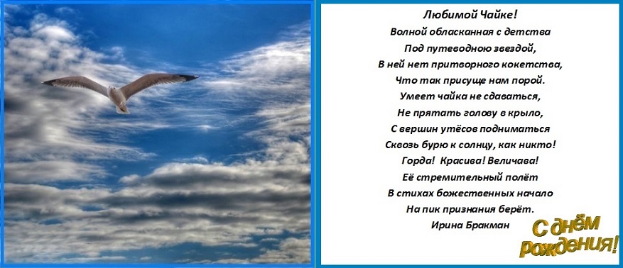 Пожелания чайке Пожелания чайке