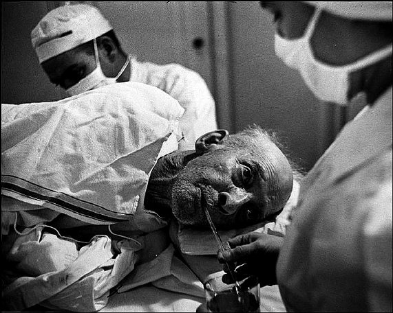 w eugene smith landmark photo essay country doctor w eugene smith landmark photo essay country doctor