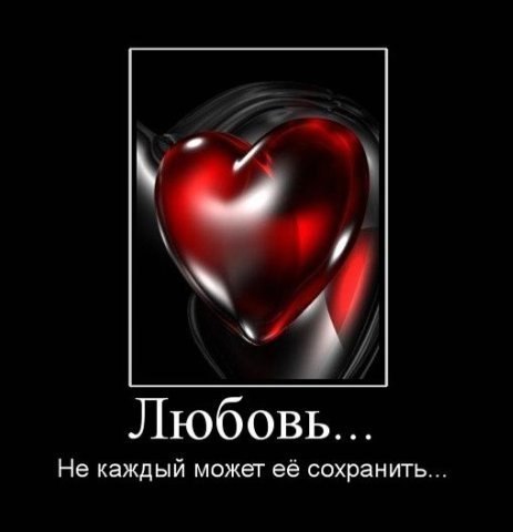 Как начинающим сделать своими руками красивые клумбы на даче из Диффузия в твердых телах, жидкостях и газах: определение, условия