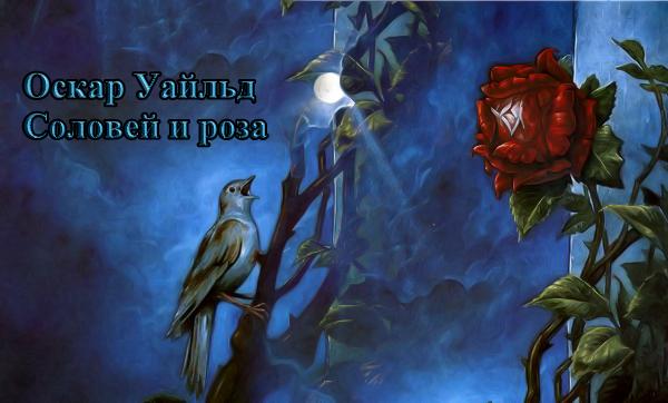 краткое содержание соловей и роза его так