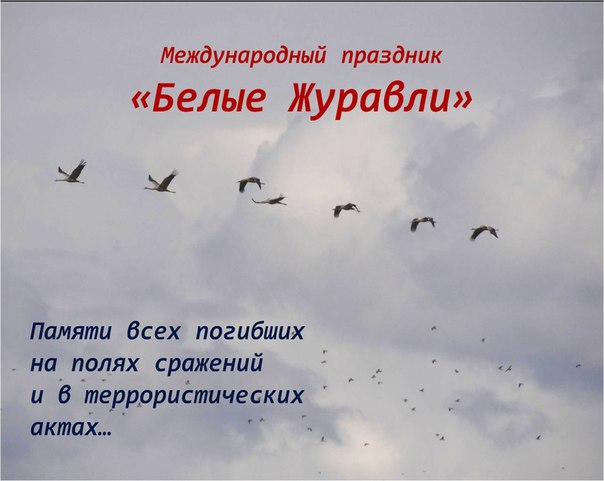 Стих журавли памяти Стих журавли памяти