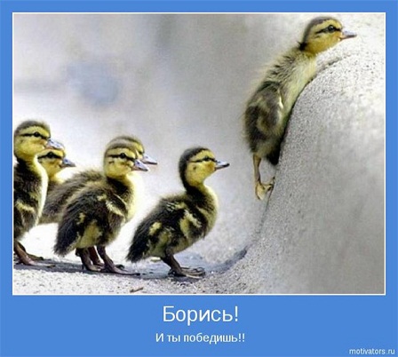 http://www.stihi.ru/pics/2014/11/06/6217.jpg