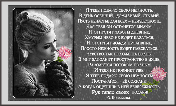 Я хочу тебе стих подарить стихи Я хочу тебе стих подарить стихи