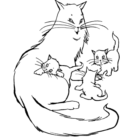 3 кошки раскраска 3 кошки раскраска