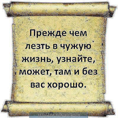 Супер статусы про котов Супер статусы про котов