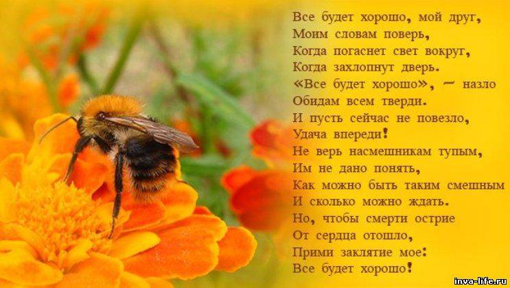 Цитаты всё будет хорошо в прозе Цитаты всё будет хорошо в прозе