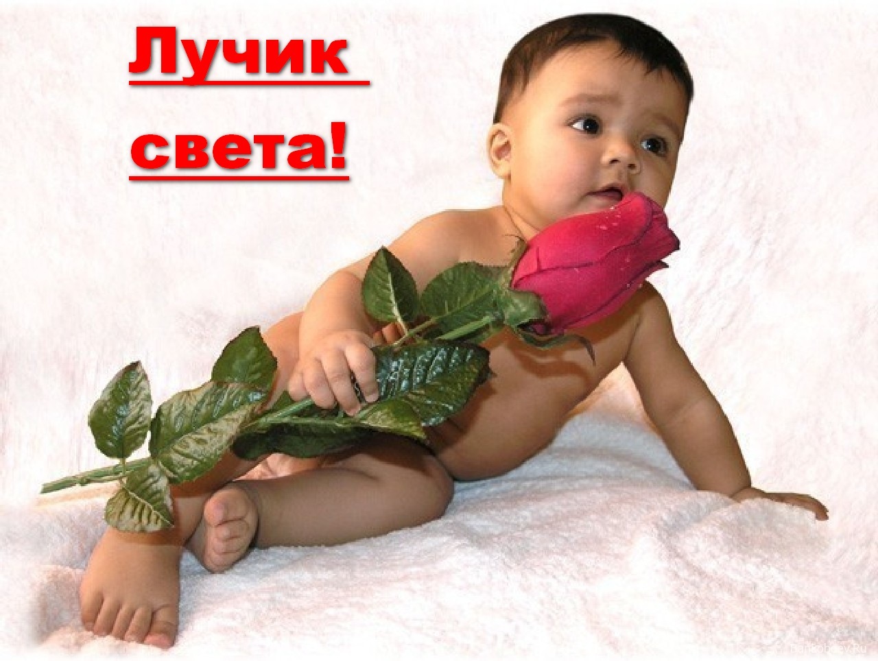 Комплимент для полных дам Комплимент для полных дам