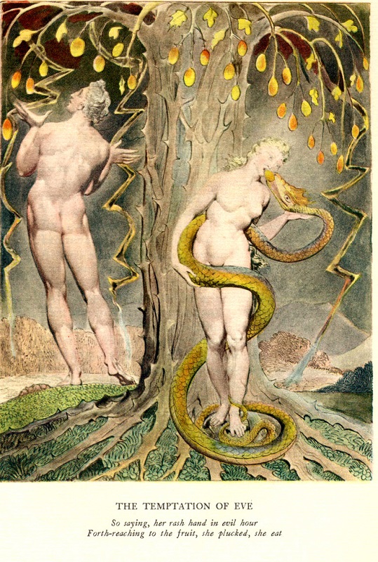 pride of paradise losts satan and dr faustus essay Get an answer for 'what are the parallels between dr faustus and lucifer ' and find homework help for other doctor faustus satan of milton’s the paradise lost. pride of paradise losts satan and dr faustus essay Get an answer for 'what are the parallels between dr faustus and lucifer ' and find homework help for other doctor faustus satan of milton’s the paradise lost.