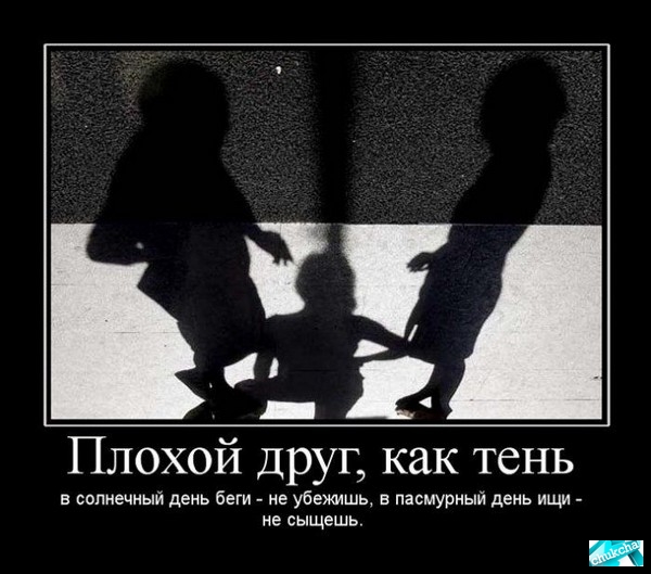 Подберите понятия, находящиеся в отношении пересечения с Пальто из цветочных мотивов - запись пользователя