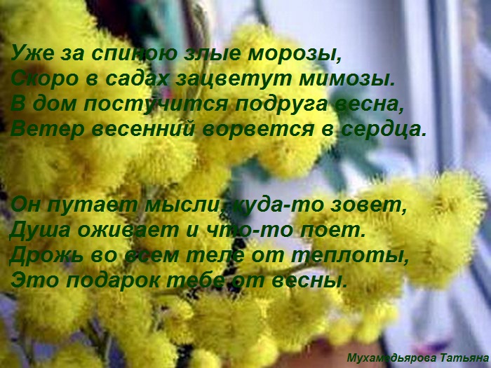 Когда сажают грибы вешенки Когда сажают грибы вешенки
