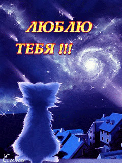 Открытки ты у моя киса Открытки ты у моя киса