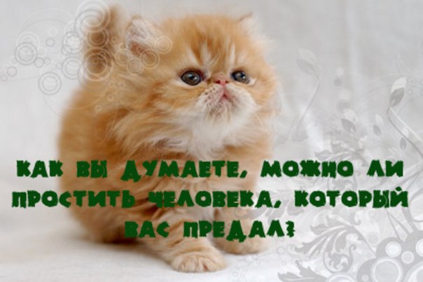 Ты меня придала открытка Ты меня придала открытка
