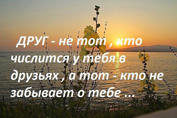 Я тебе больше не друг открытка Я тебе больше не друг открытка