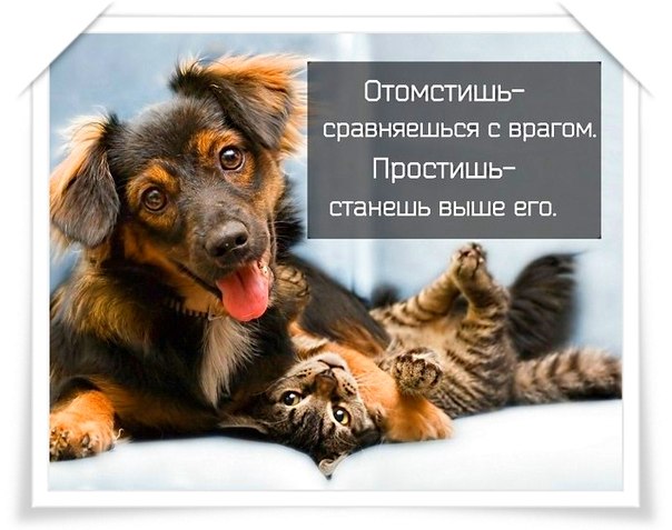 Стих я отомщу тебе за Стих я отомщу тебе за