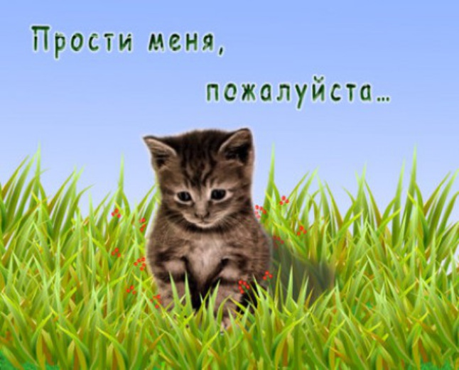 Скачать песню ты прости меня родная что так долго не звонил