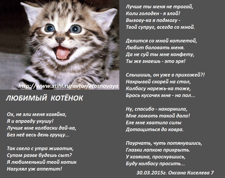 Стих любимый котёнок Стих любимый котёнок