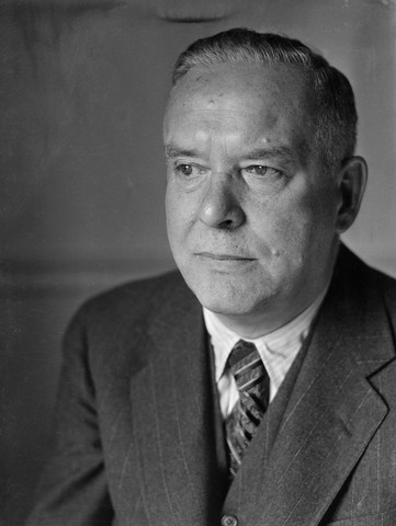 a biography of wallace stevens an american poet a biography of wallace stevens an american poet