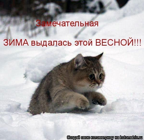 Как удалить папиллому на лице в домашних условиях