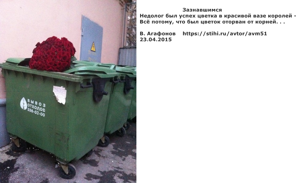 Фото цветы букета на мусорке Фото цветы букета на мусорке