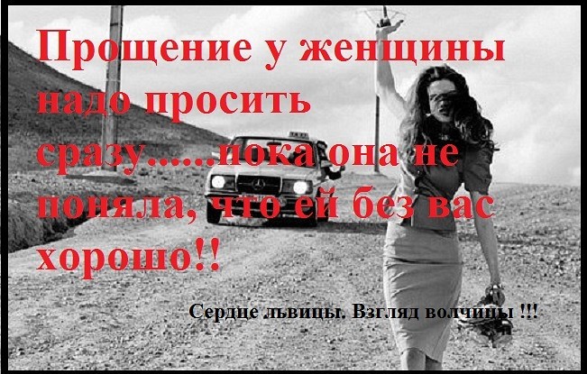 MoeTV. org Хороший портал о кино Cached