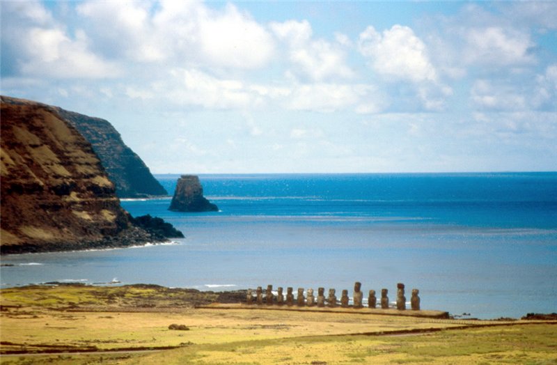 название название