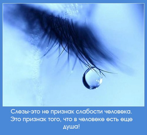 Слеза фото и поздравления Слеза фото и поздравления