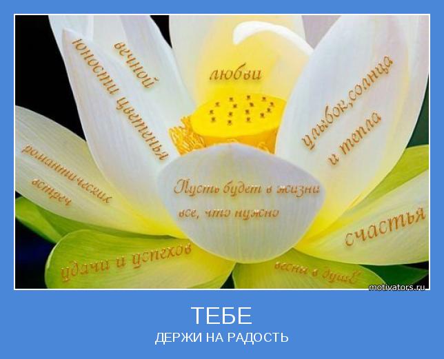 С днем любви и счастья поздравления С днем любви и счастья поздравления