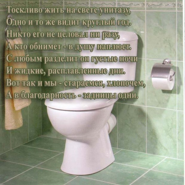 Поздравление унитазу Поздравление унитазу