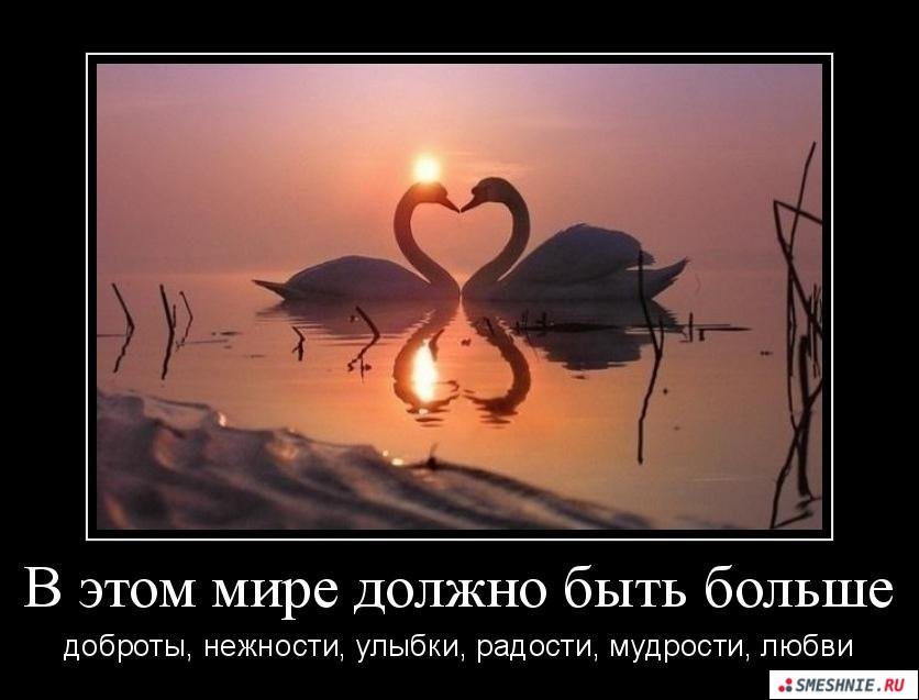 Почему по телу вскакивают как родинки Почему по телу вскакивают как родинки
