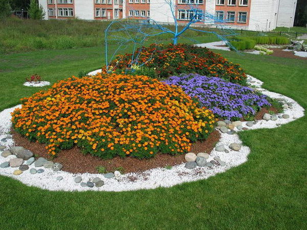 Клумба из бархатцев своими руками