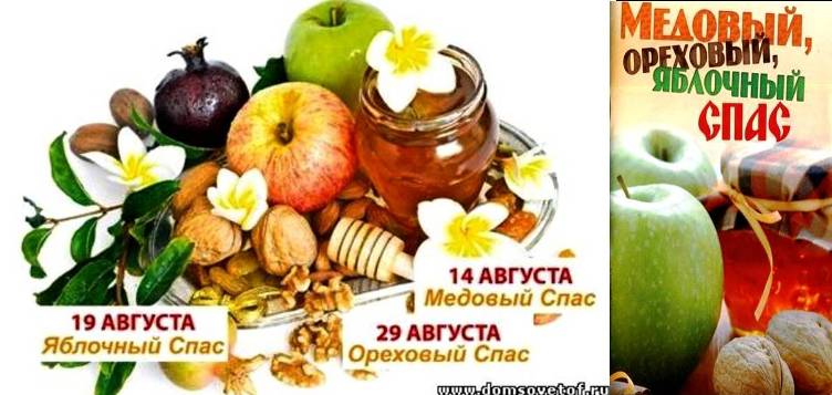 Когда праздновать Яблочный спас, какого числа (дата праздника) 2018… Когда праздновать Яблочный спас, какого числа (дата праздника) 2018…