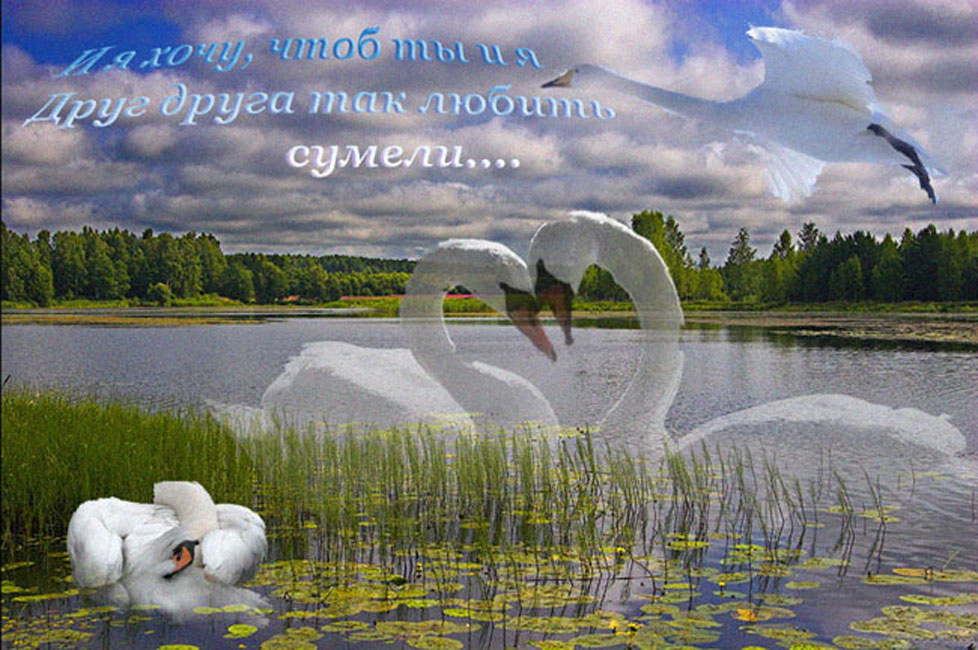 Может хоть это