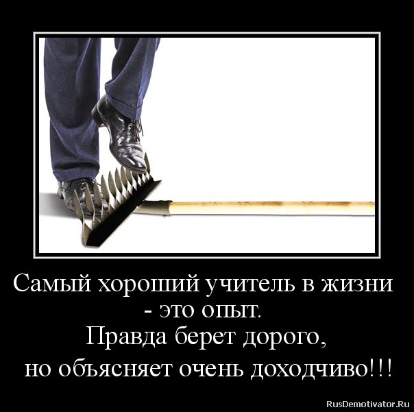 Опыт в жизни поздравления