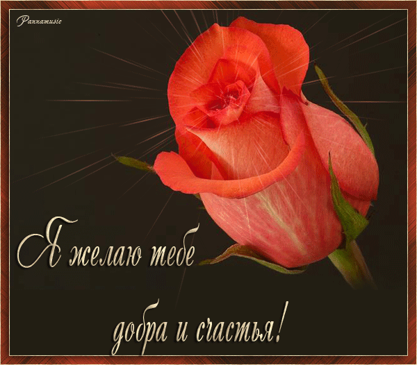 Открытки я желаю тебе удачи Открытки я желаю тебе удачи