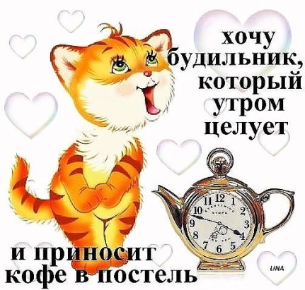 Прикольные открытки и доброе утро Прикольные открытки и доброе утро