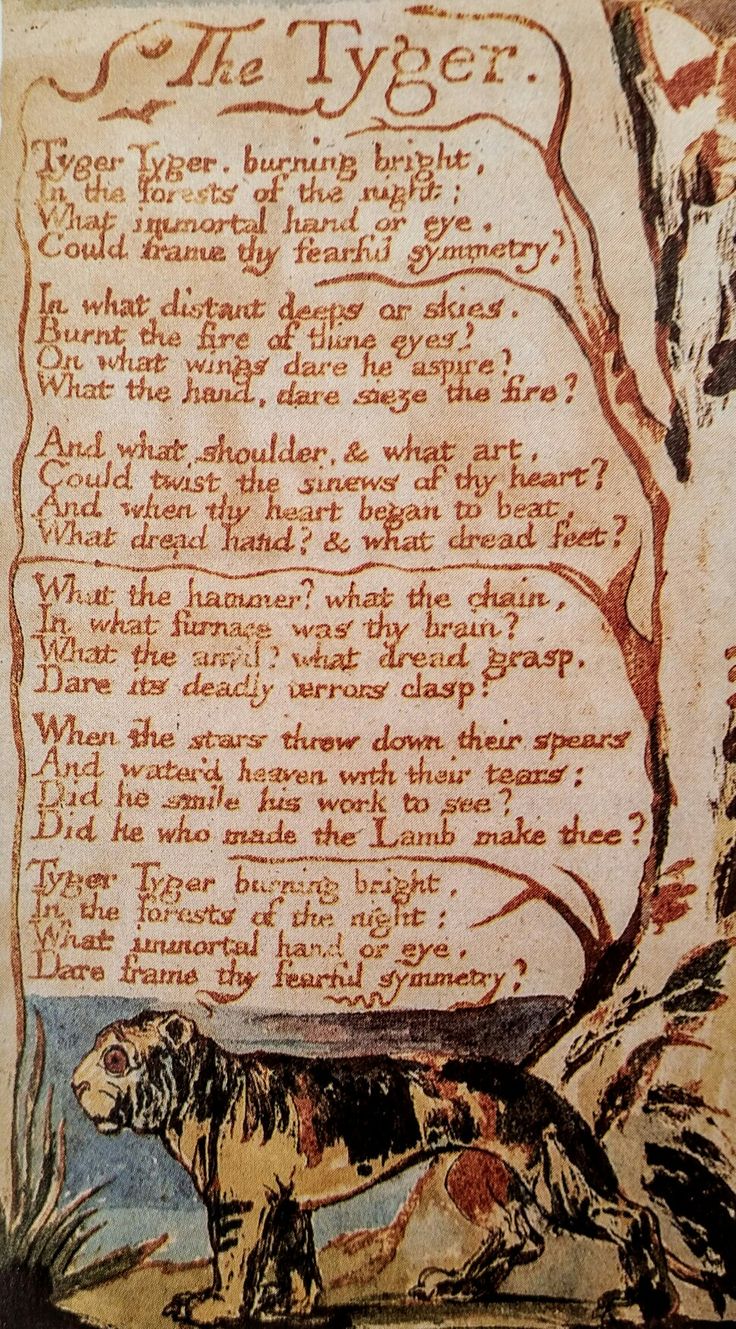 an analysis of william blakes poem the tyger The notes which follow are intended for study and revision of a selection of blake's poems about the poet william blake in the tyger blake analysis from. an analysis of william blakes poem the tyger The notes which follow are intended for study and revision of a selection of blake's poems about the poet william blake in the tyger blake analysis from.