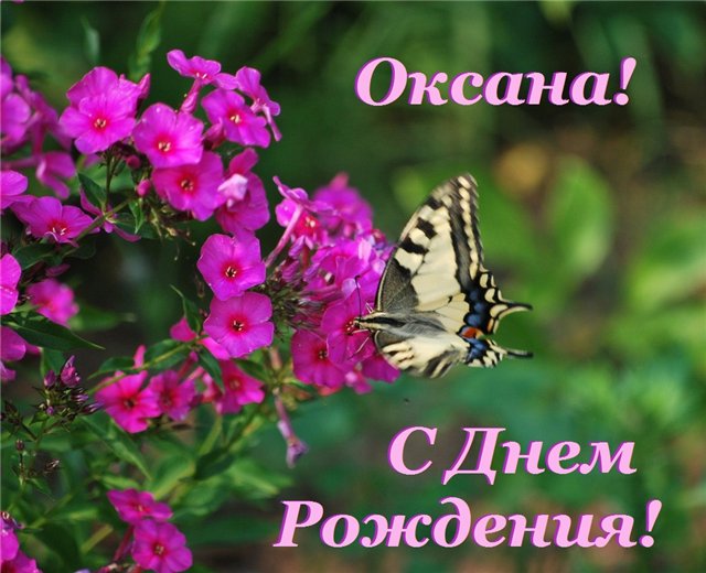 С днем оксаны плейкаст С днем оксаны плейкаст
