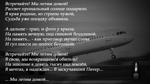 Лети домой стих Лети домой стих