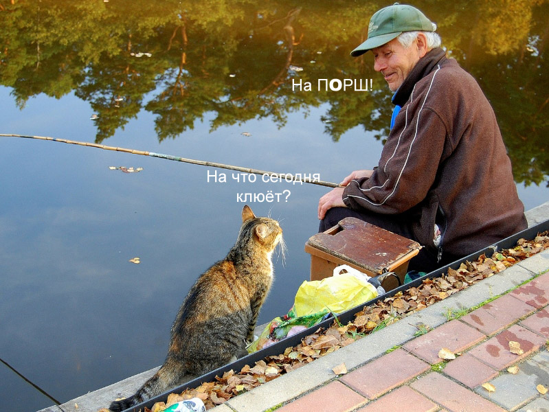 на нее рыбак ловит рыбку на нее рыбак ловит рыбку